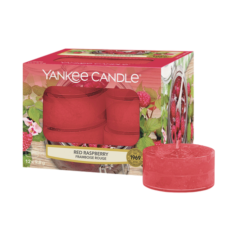 洋基蠟燭粉紅沙茶蠟 (12 件 x 9.8 克/盒)