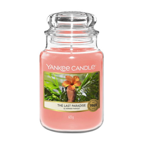 Yankee 蜡烛经典大罐最后天堂 623 克