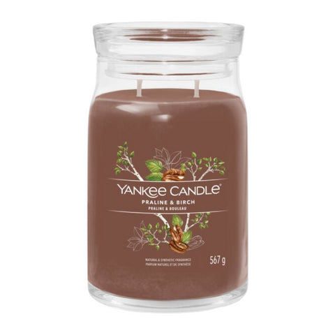 Yankee Candle Signature Large Jar Praline & Birch 567g