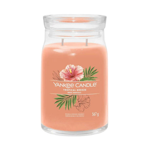 Yankee Candle Signature Large Jar Tropical Breeze 567g